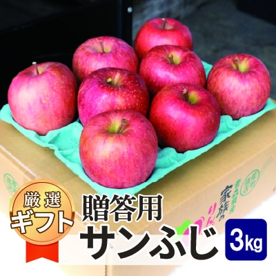 【25年11月出荷予定】平均糖度13度以上! サンふじ 約3kg 贈答用【配送不可地域：離島・沖縄】【1612830】