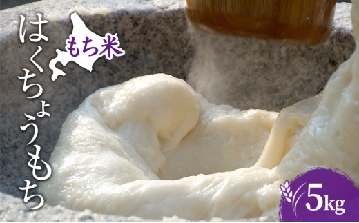 米 北海道 もち米 はくちょうもち 5kg (ホクレン米) 獲得 白米 お取り寄せ ごはん 道産米 ブランド米 5キロ お米 ご飯 米 北海道米 送料無料 北海道 芦別市 [№5342-0708]