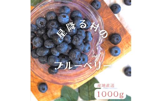 高山村産　生ブルーベリー　１０００ｇ
