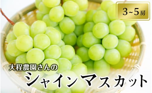 
            大程農園のシャインマスカット【約2kg　3～5房入り】
          