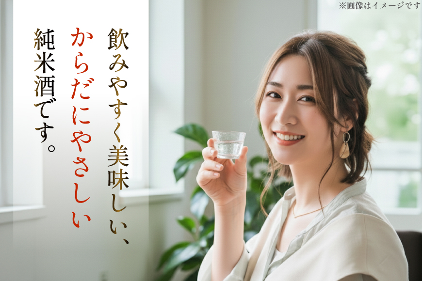 日本酒 純米あんだんて 720ml 2本 セット [米鶴酒造 山形県 高畠町 tk06ays710014] 酒 お酒 米 旨口 720 晩酌 淡麗 すっきり