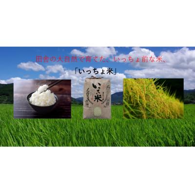 ふるさと納税 美作市 コシヒカリ　いっちょ米(5kg×2袋) |  | 01
