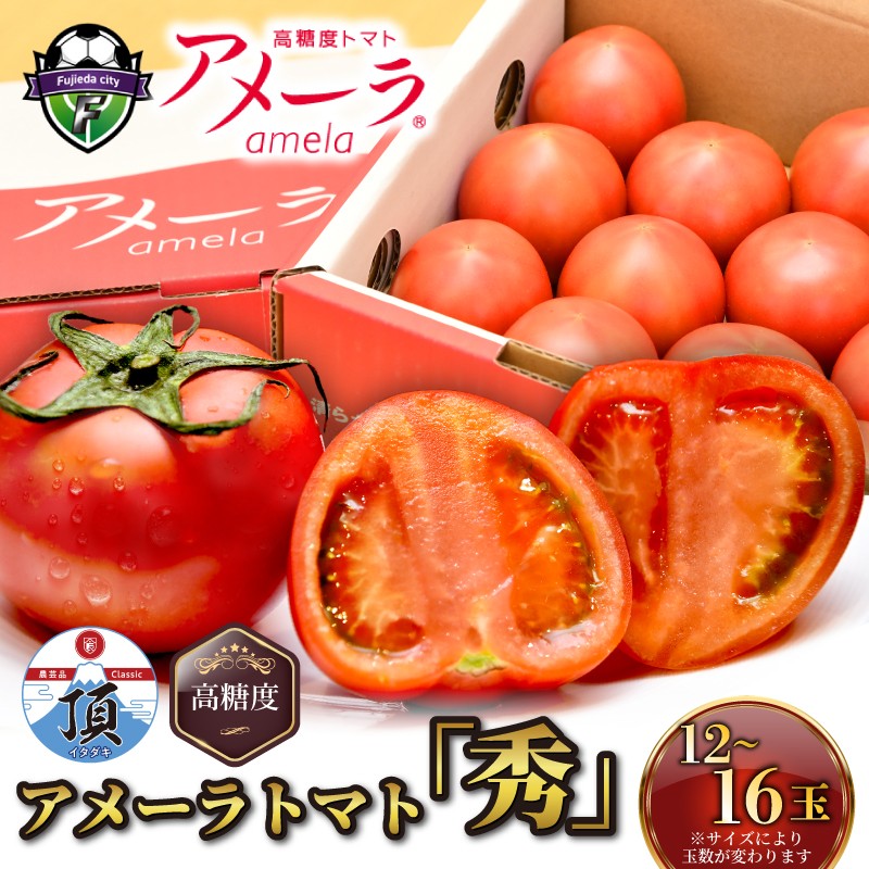 
                  【選べる配送月】父の日 2026年6月18日～2026年6月21日にお届け アメーラ トマト 12-16玉 高糖度 7.5以上 化粧箱入り 産地 直送 新鮮 旬の 野菜 高級 フルーツトマト 甘い ふるさとおすすめ 
                