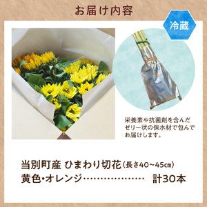 ひまわり 切花 30本 黄色 オレンジ 四季農場《6月上旬-9月下頃出荷》北海道 当別町 花 お花 はな ひまわり 夏 切り花 冷蔵便 北海道産 当別町産 インテリア