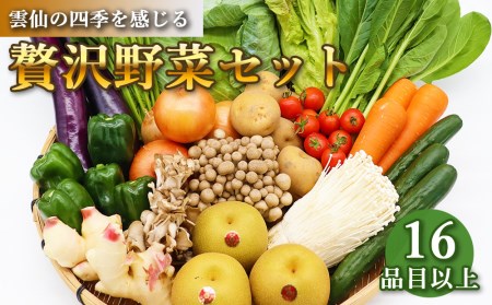 贅沢 野菜 セット どっさり 16品目以上 季節の野菜 フルーツ キノコ 詰め合わせ [吉岡青果 長崎県 雲仙市 item2215]
