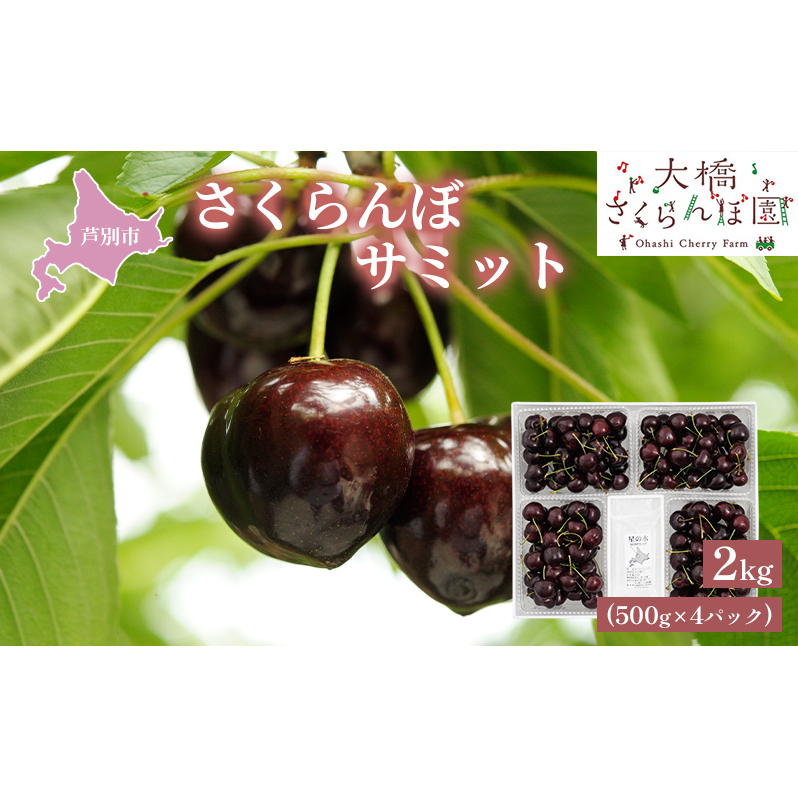 【 先行受付 】さくらんぼ サミット 2kg 500g×4パック 大橋さくらんぼ園 農林水産大臣賞 受賞 サクランボ チェリー 果物 果物類 フルーツ デザート 高級 希少 大粒