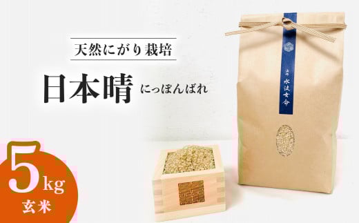 【先行予約】日本晴 玄米 5kg 天然にがり栽培 にっぽんばれ 希少 品種 お寿司 ピラフ チャーハン【2025年9月以降発送】