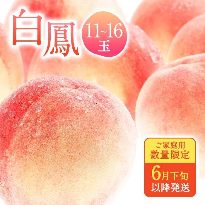 【ふるさと納税】和歌山県産 白鳳 桃 11～16玉入り 訳あり ご家庭用 数量限定［2026年6月下旬以降発送］［MG91］ | 送料無料 モモ 果物 くだもの フルーツ お取り寄せ 予約 和歌山 白鳳 10000円 ご当地 特産品 名産品 お土産 旬の果物 ふるーつ 土産