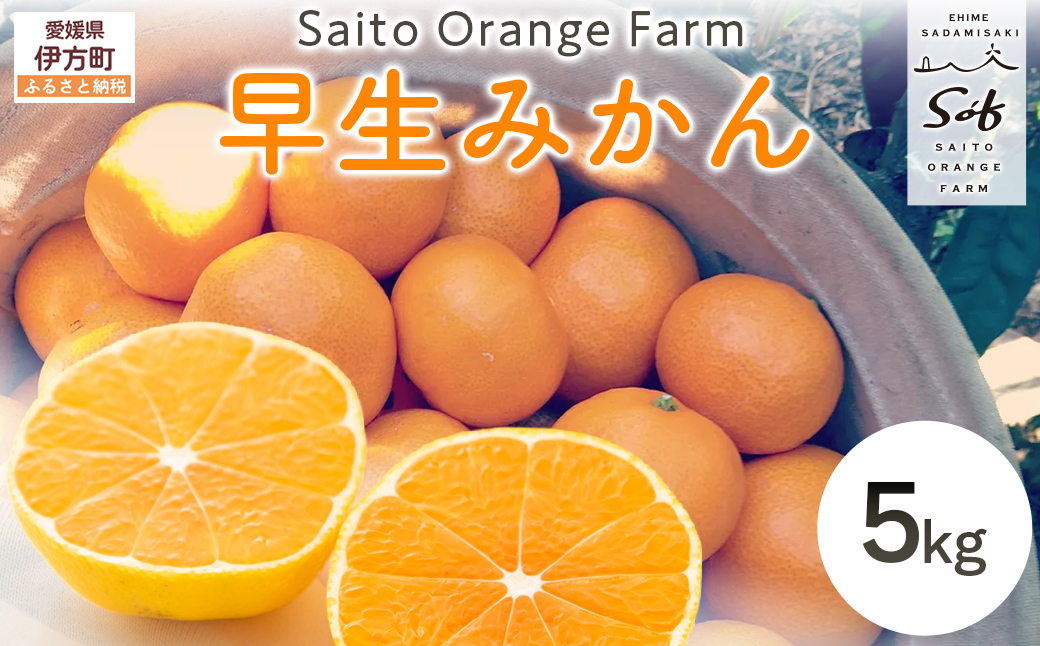 【先行予約】Saito Orange Farmの早生(わせ)みかん5kg（2026年11月下旬頃より順次発送予定） IKTAQ020