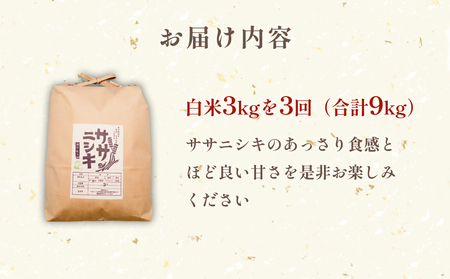 特別栽培米 ササニシキ 白米 3kg × 3回 定期便 （合計9kg）