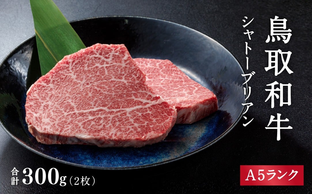 
            A5ランク 鳥取和牛シャトーブリアン 2枚 合計300g 牛肉 精肉 肉 カタセイ シャトーブリアン ヒレステーキ ヒレ ステーキ 肉 フィレステーキ ステーキ お肉 和牛 高級ヒレステーキ ヒレ肉 最高級 黒毛和牛 牛肉 お肉
          