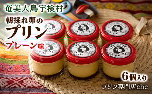 
            《朝採れ卵の絶品プリン》プレーン味(6個入り)こだわり プリン 人気 スイーツ デザート 洋菓子 紅さんご 奄美大島 宇検村 鹿児島【プリン専門店che】 
          