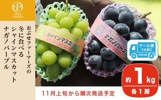 
                  冬に食べるシャインマスカット＆ナガノパープル1房ずつ 約1kg［おぶせファーマーズ］ぶどう 果物 フルーツ 詰め合わせ 詰合せ 令和8年度【2026年11月上旬～順次出荷】［F-537］
                
