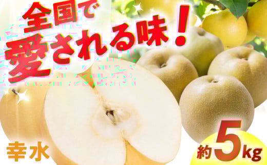 【★先行予約★ 2025年7月下旬より発送】梨（幸水）約5kg なし ナシ 梨 幸水 果物 くだもの 果汁 フルーツ デザート 旬 甘い 食感 丸い 産地直送 広川町 / JAふくおか八女農産物直売所どろや [AFAB060]