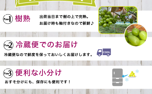 訳あり シャインマスカット 約2kg ｜ 樹熟 粒 約14パック 富山県産 マスカット ぶどう ブドウ 葡萄 ※北海道・沖縄・離島への配送不可 ※2025年10月上旬～12月下旬頃に順次発送予定