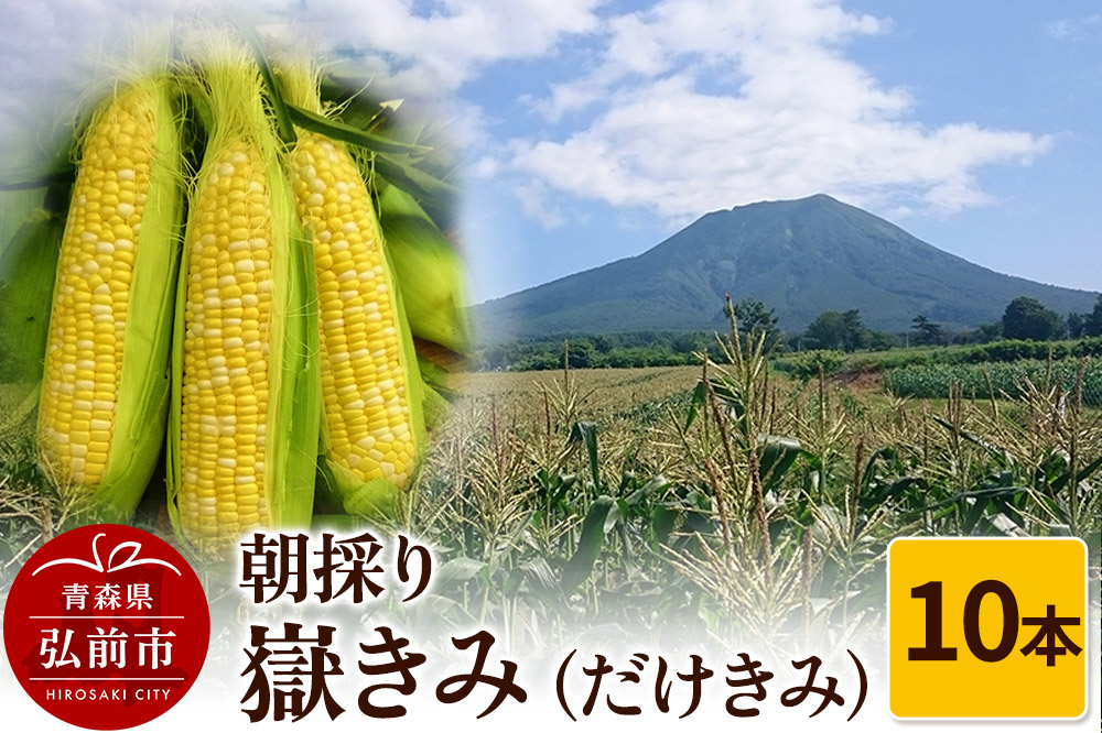 朝採り 嶽きみ（だけきみ）10本