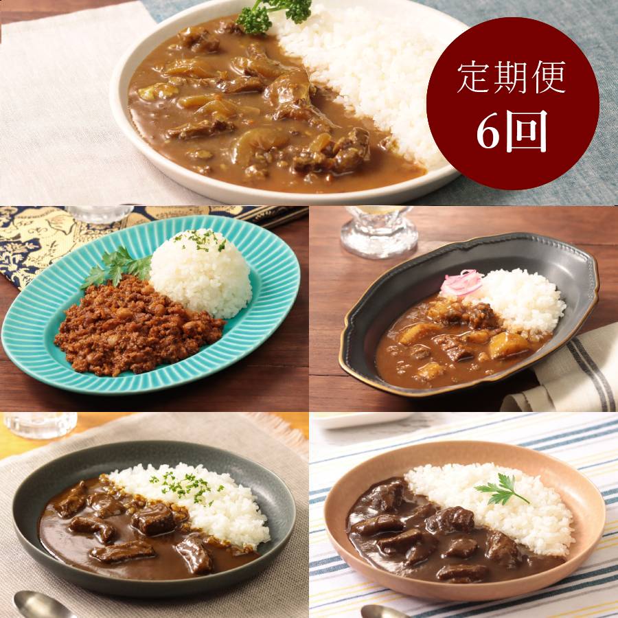 ＜カレー工房NVfoods＞カレー好きのためのアソート 12個セット定期便 6カ月コース