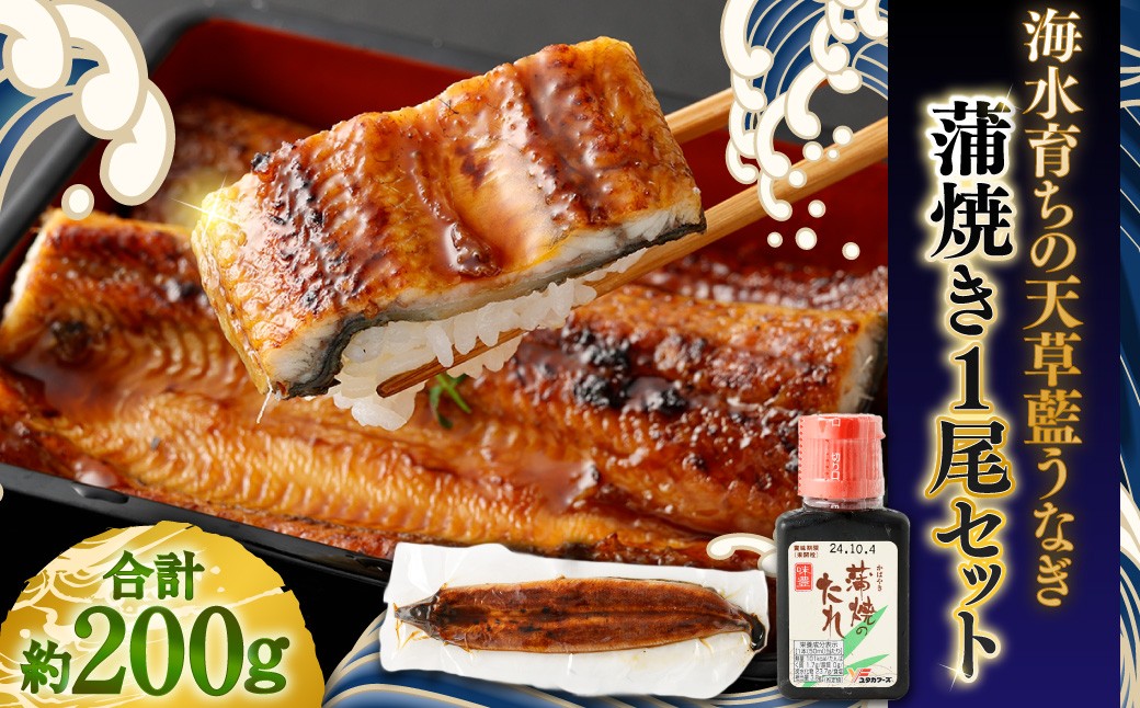 
            海水育ちの天草藍うなぎ 蒲焼き1尾セット【合計約200g】鰻 ウナギ うなぎ うなぎ蒲焼 鰻の蒲焼 うなぎ 国産
          