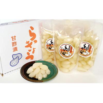 ふるさと納税 鳥取県 らっきょう甘酢漬け 160g×5袋 計800g