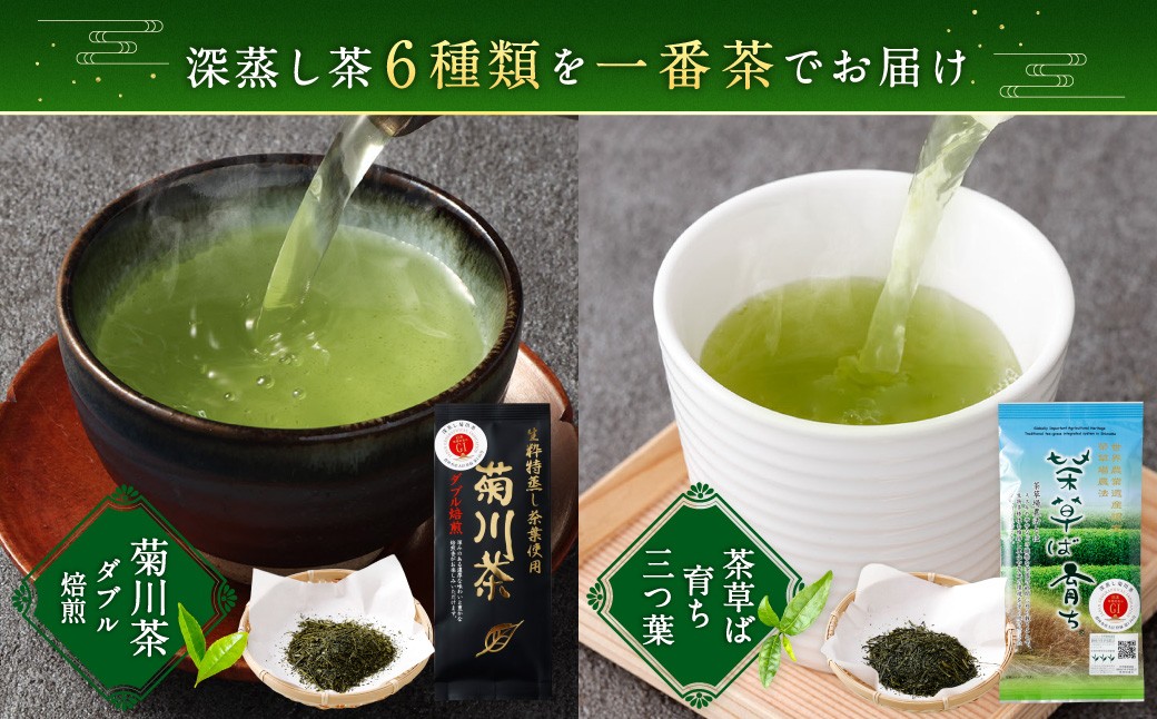 深蒸し茶 詰め合わせ 6種 セット 計約575g 【緑茶 茶葉 ティーバッグ】 ｜ お茶 茶 深蒸し菊川茶 深蒸し 菊川茶
