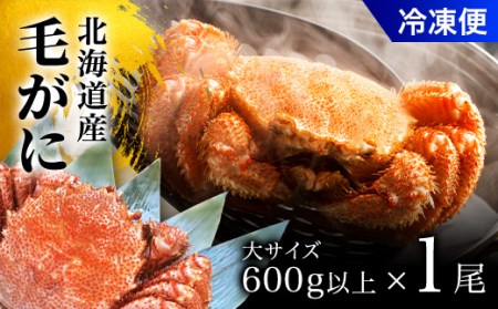 毛がに大サイズ１ハイ（冷凍） 【 ふるさと納税 人気 おすすめ ランキング かに カニ 蟹 毛ガニ 毛蟹 塩ゆで ボイル ゆでたて 冷凍 鍋 パスタ かにめし 炊き込みご飯 かにみそ かに味噌 甲羅盛り 北海道 長万部町 送料無料 】 OSMA006