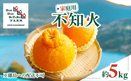 【先行予約】【家庭用】不知火 約5kg | 柑橘 みかん 果物 フルーツ 愛媛県産 農家直送　※離島への配送不可　※2026年2月下旬より順次発送予定  IKTAU008