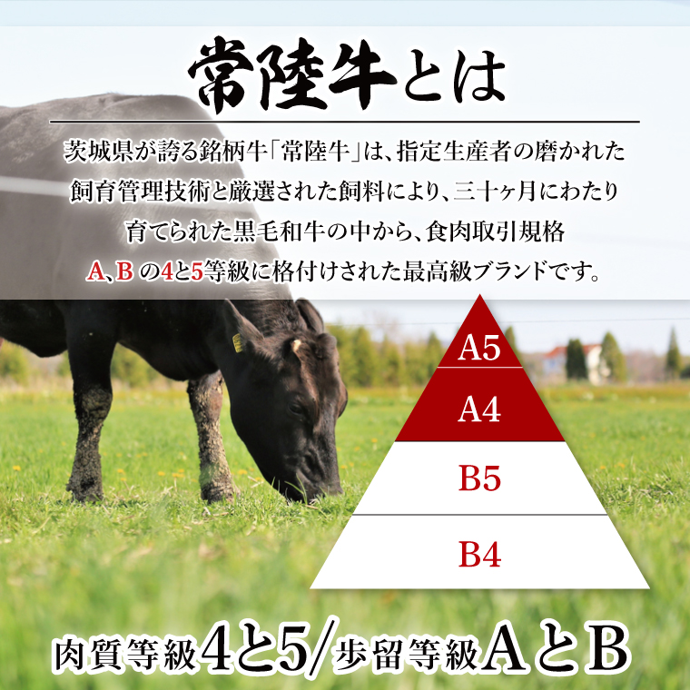 【茨城県共通返礼品】【3ヶ月定期便】【茨城県共通返礼品】個包装で便利！常陸牛切り落とし 800g（200g×4）【黒毛和牛 国産 銘柄牛 牛肉 肉 個包装 真空パック 小分け 冷凍 茨城県産】(81-