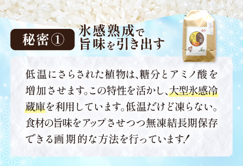 氷感熟成「つや姫」10kg【特別栽培米 つや姫 10kg 島根県産 大田市産 米 氷感熟成 石見銀山氷感つや姫 減農薬 減化学肥料】