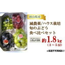 【ふるさと納税】ぶどう 2025年 先行予約 旬のぶどう食べ比べセット 約1.8kg 3～5房 減農薬 ハウス栽培 ブドウ 葡萄 岡山県産 国産 フルーツ 果物 ギフト ばんの農園 | フルーツ 果物 くだもの 食品 人気 おすすめ