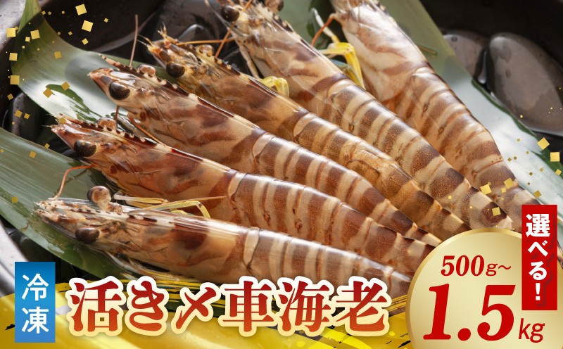 
                  S065-003-sku_活き〆冷凍車海老
                