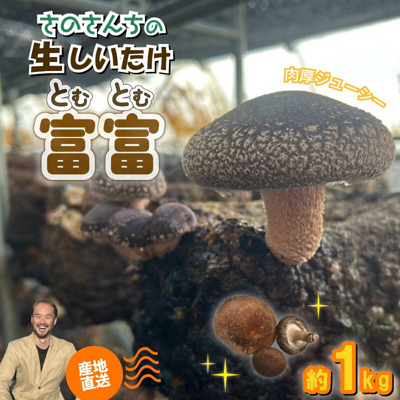 【ふるさと納税】 【先行予約：2025年11月以降順次発送】生 しいたけ 富富（とむとむ）約1kg さのさんち 椎茸 シイタケ 肉厚 ジューシー きのこ 静岡県 藤枝市 人気 野菜 旬 安心 安全 JGAP認証農場