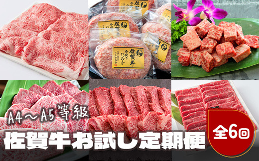 
            【定期便セット】佐賀牛お試し定期便 佐賀牛リブローススライス500g・佐賀牛合挽ハンバーグ6個・サーロインサイコロステーキ300g・イチボステーキと希少部位トモサンカクの焼肉セット500g・ミニヒレステーキ300g・モモスライ
          