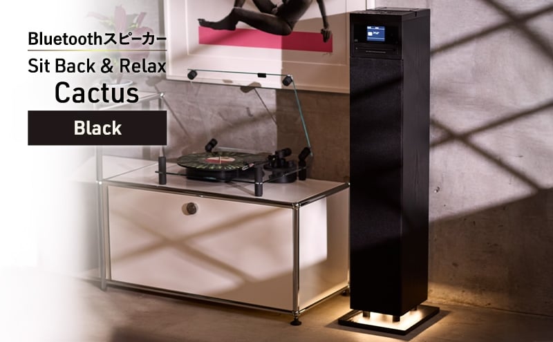 
            Sit Back ＆ Relax Cactus Black CD機能付きタワー型Bluetoothスピーカー オーディオ Bluetooth 東京都 文京区 [№5338-0392]
          