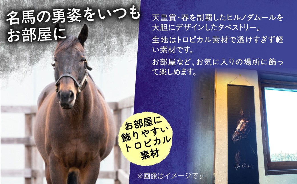
                  【ヒルノダムール】タペストリー 【ふるさと納税 人気 おすすめ ランキング 馬 競馬 競走馬 引退馬 ヒルノダムール タペストリー 壁掛け インテリア 飾り 生活 日高 北海道 平取町 びらとり 送料無料】 BRTV301
                