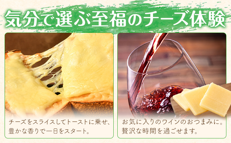 チーズ ゴーダチーズ セット しぼりたて 自家生産生乳 100％ プレーン 100g 4個 チーズ工房「幸」《30日以内に出荷予定(土日祝除く)》北海道 豊頃町 送料無料 チーズ 十勝 ナチュラルチー