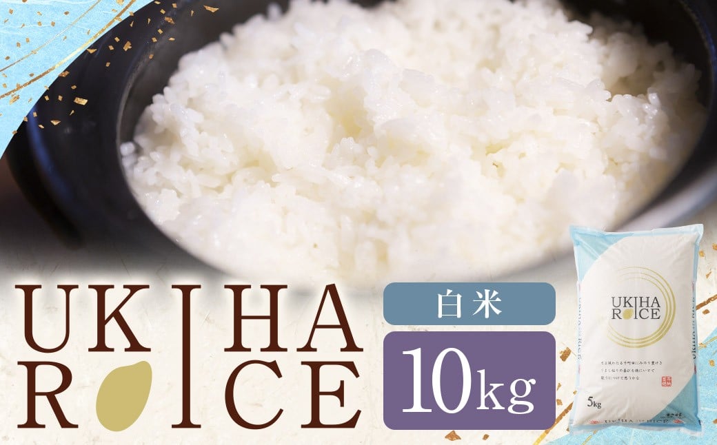 
            みずほファーム UKIHA RICE 白米10kg 【2025年11月初旬より順次発送予定】 ヒノヒカリ ひのひかり 米 こめ コメ お米 おこめ 白米 精米 ごはん ご飯 うきは市
          