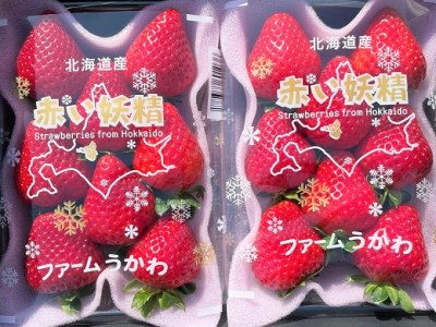 もぎたて！ファームうかわのいちご「赤い妖精」2パック