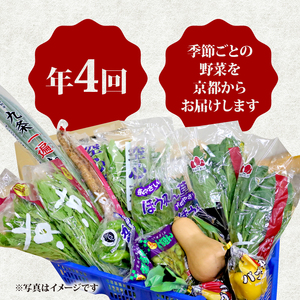 京野菜定期便 年4回 6～8種類 京野菜 人気の京野菜 おまかせ京野菜 春夏秋冬の京野菜