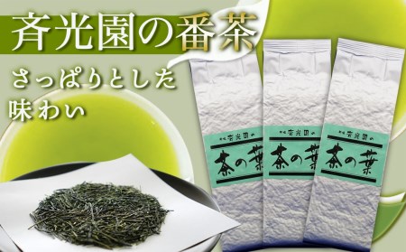 どどーんと緑茶詰合せセット 750g(250g×3袋)_LC-C304_(都城市) 茶の葉 番茶 緑茶 斉光園