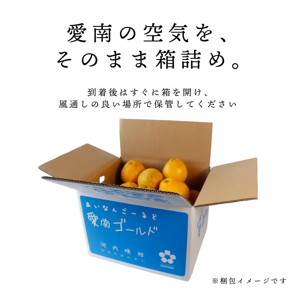訳あり 愛南ゴールド（河内晩柑） 9kg サイズ(Ⅿ～2Ⅼ) みかん 愛媛 河内晩柑 石川ファーム