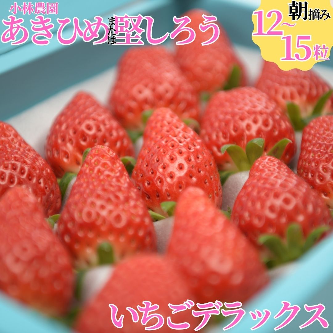 【ふるさと納税】 いちご 12～15粒 デラックス セット | あきひめ 章姫 堅しろう けんしろう 新品種 イチゴ 苺 小林農園 詰め合わせ 詰合せ 大粒