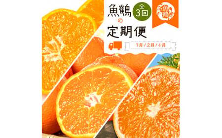 【全3回】柑橘定期便(みかん・不知火・清見オレンジ)【tkb384】