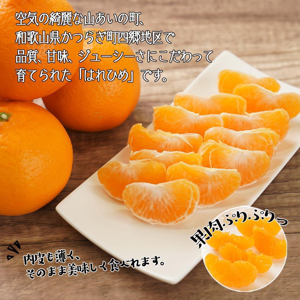はれひめ（ミカンの希少種） 秀品  約5ｋｇ（25個～30個入）［先行予約］［2025年12月中旬頃から発送］［KG3］　XM90003_イメージ4