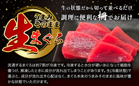 まぐろ 天然生まぐろ 柵 500g