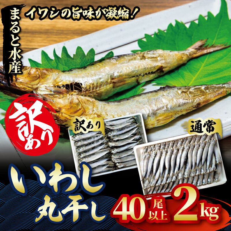 【ふるさと納税】 選べる種類 国産いわし 丸干し 2kg イワシ 干物 いわし おつまみ 夕食 海鮮 お魚 惣菜 弁当 訳あり マイワシ 海の幸 通常 愛知 夕食 晩ごはん おかず いわし 干し 新鮮 おつまみ ビールに合う 南知多 まると水産
