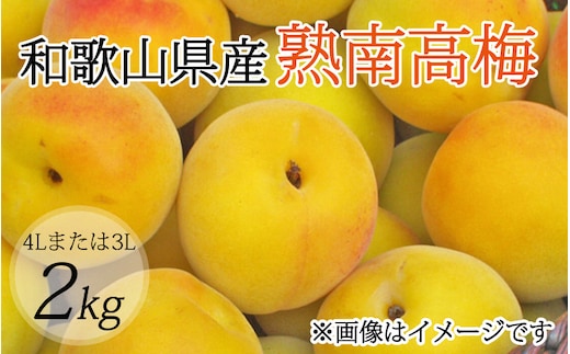 
										
										【梅干・梅酒用】（4Lまたは3L－2Kg）熟南高梅＜2025年6月上旬～7月上旬ごろに順次発送予定＞ フルーツ 果物 くだもの 食品 人気 おすすめ 送料無料【art006A】
									