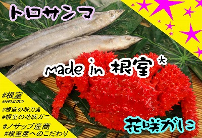 【北海道根室産】花咲ガニ2尾(計800g以上)、冷凍サンマ10尾 C-59007