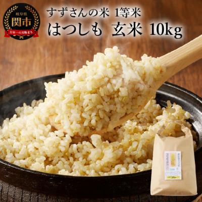ふるさと納税 関市 玄米10kg 安心・安全なすずさんの米 1等米のはつしも米/大粒　和食  お米　岐阜県関市