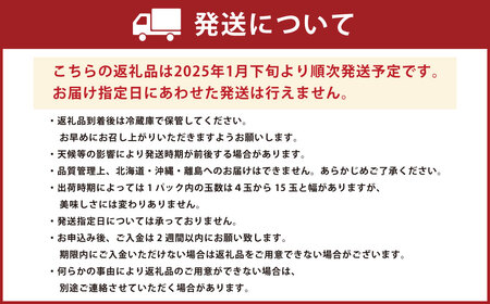 福岡県産 博多あまおう約560g（約280g×2パック入り） いちご 苺 イチゴ フルーツ 果物 くだもの  【2025年1月下旬～3月下旬発送予定】