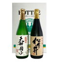 【ふるさと納税】十日町市　大吟醸セット　 お酒 日本酒 松乃井 大吟醸酒 飲み比べ セット 　お届け：準備でき次第、順次発送